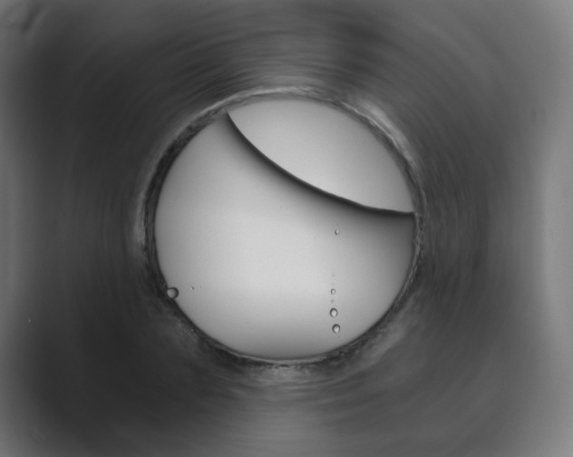 X0000089850883200706281018