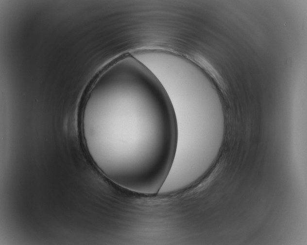 X0000089850884200706281018