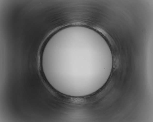 X0000089850886200706281018