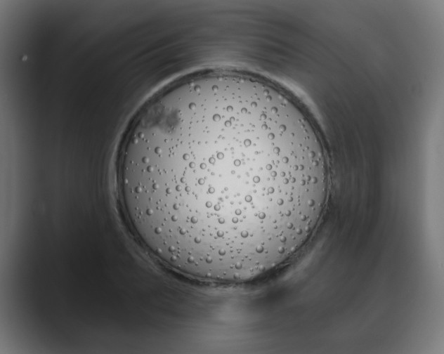 X0000089850887200706281018