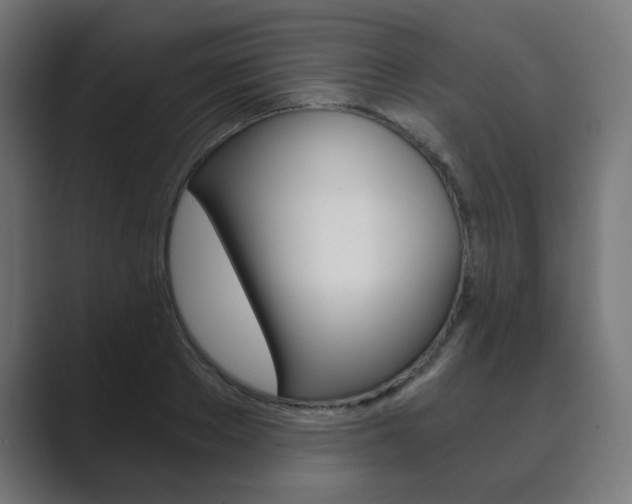 X0000089850889200706281018