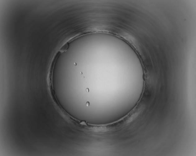 X0000089850893200706281018