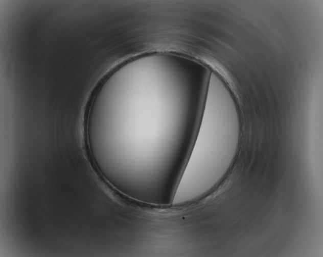 X0000089850894200706281018