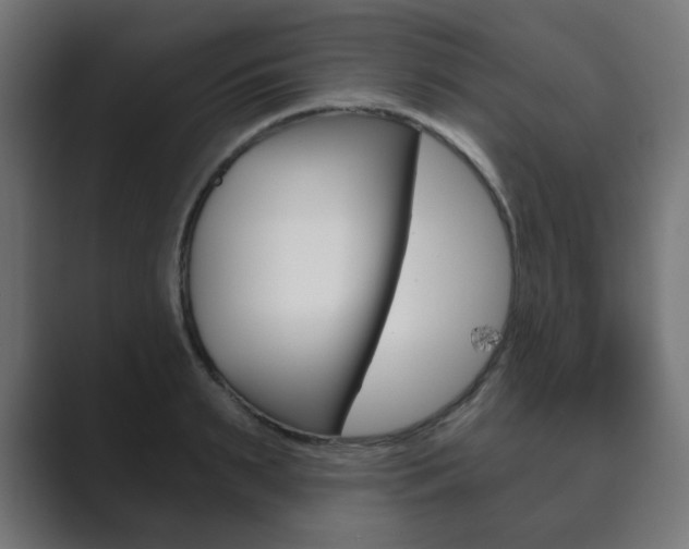 X0000089850895200706281018