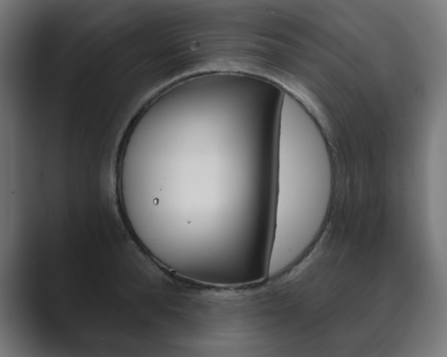 X0000089850896200706281018