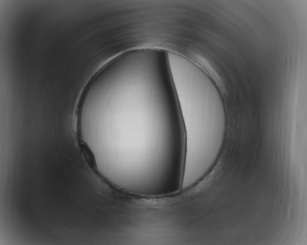 X0000089850900200706281018