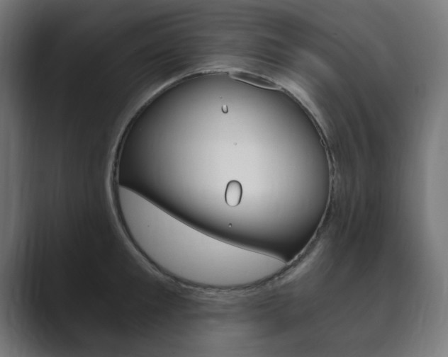 X0000089850901200706281018