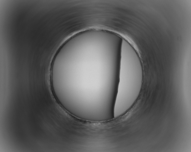 X0000089850903200706281018