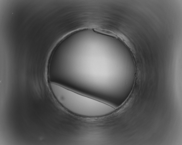X0000089850904200706281018