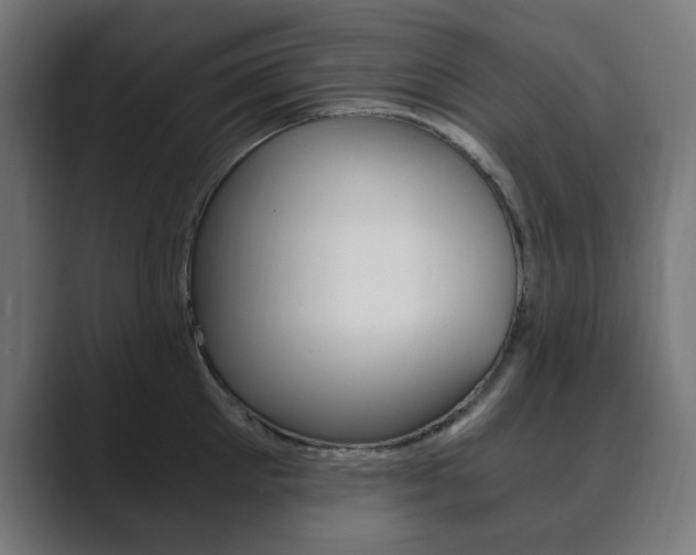 X0000089850905200706281018