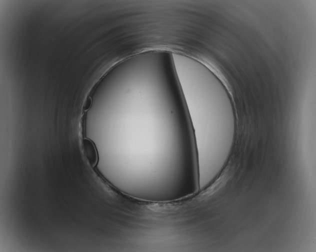 X0000089850906200706281018