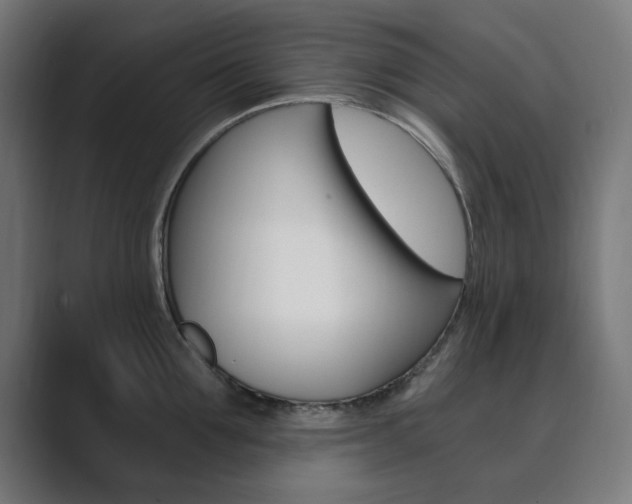 X0000089850907200706281018