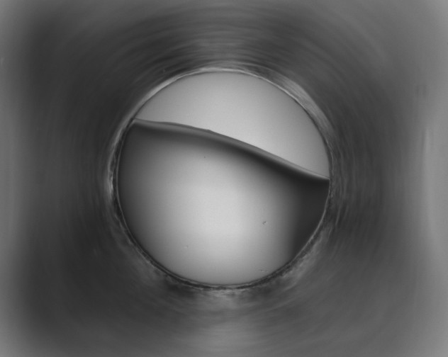 X0000089850908200706281018