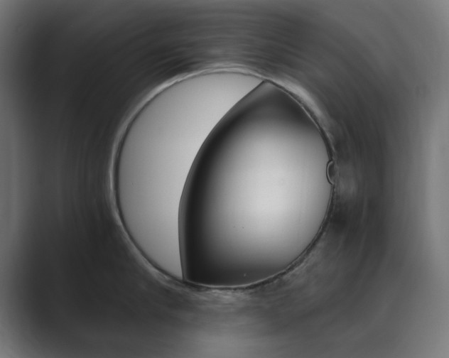 X0000089850910200706281018