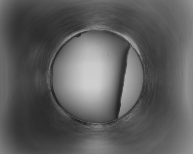 X0000089850911200706281018