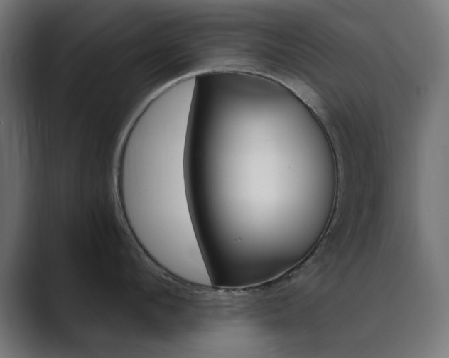 X0000089850912200706281018