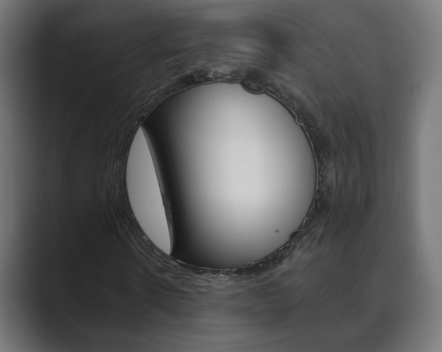 X0000089850914200706281017