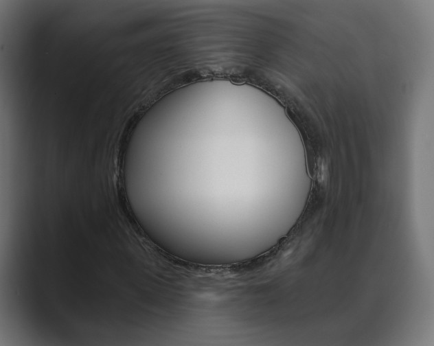 X0000089850915200706281017
