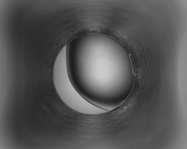 X0000089850916200706281017