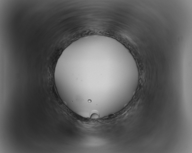 X0000089850917200706281017