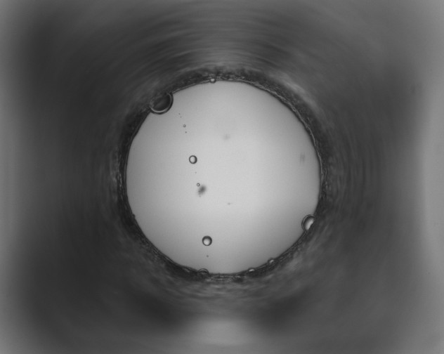 X0000089850918200706281017