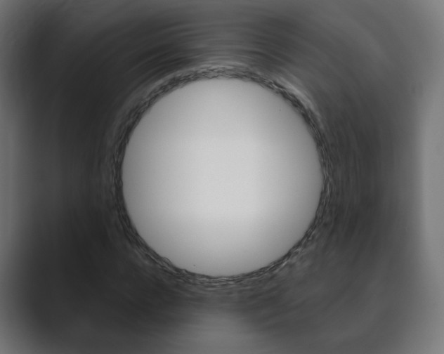 X0000089850920200706281017