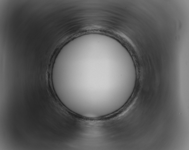 X0000089850921200706281017