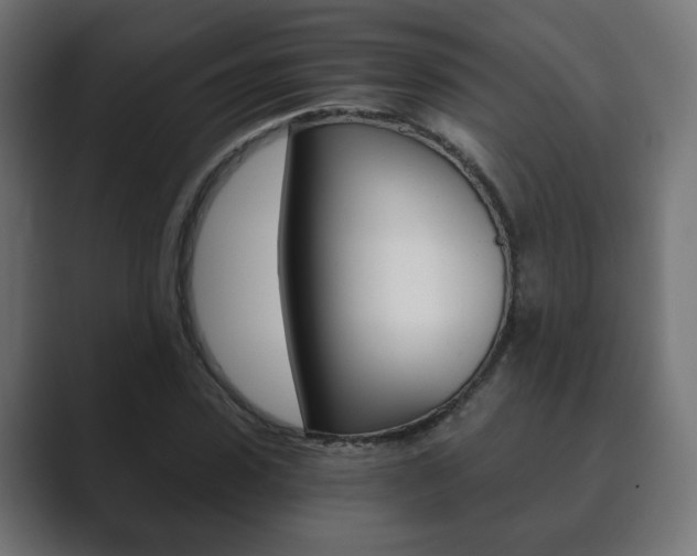 X0000089850923200706281017