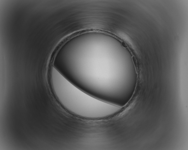 X0000089850924200706281017