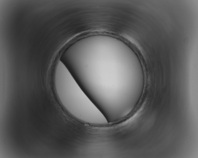X0000089850925200706281018