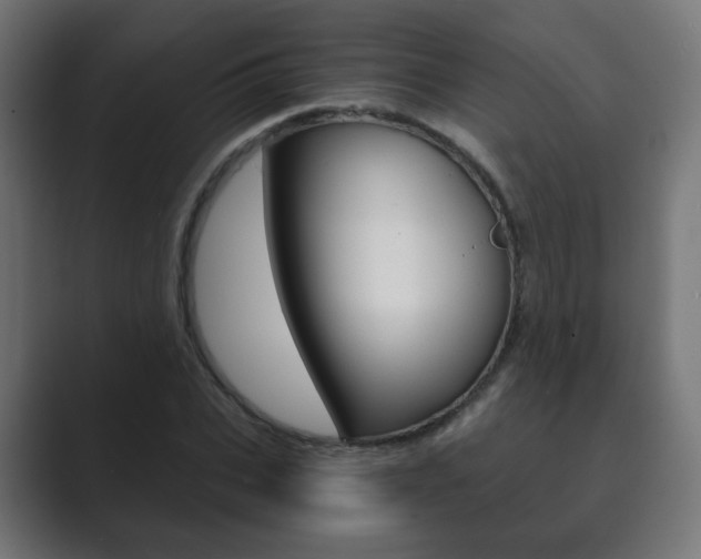 X0000089850927200706281018