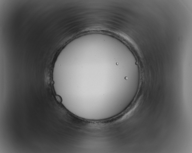 X0000089850929200706281018