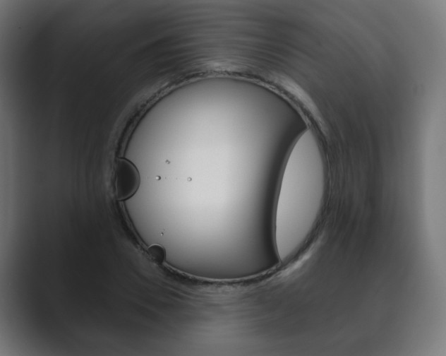 X0000089850930200706281018