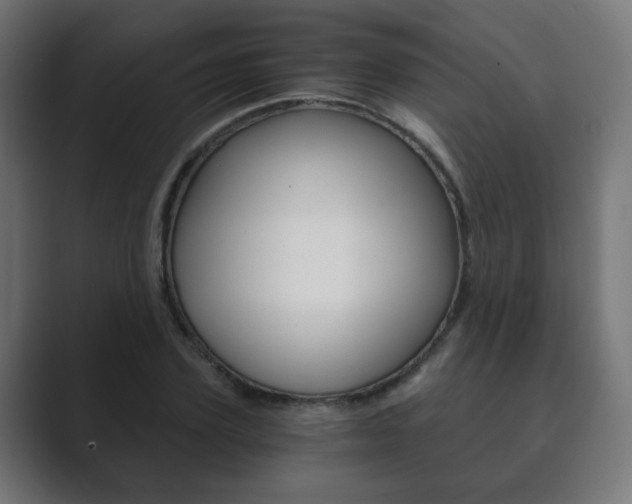 X0000089850931200706281018