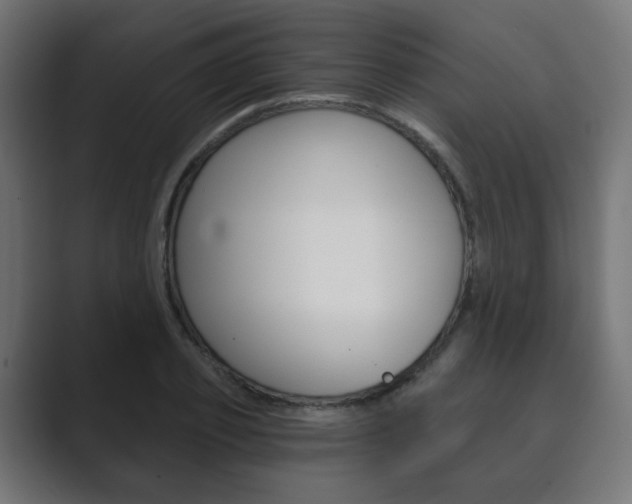 X0000089850933200706281018