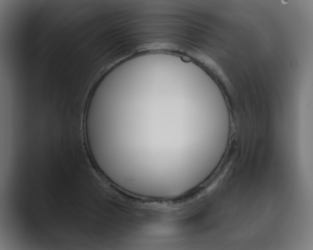 X0000089850937200706281018