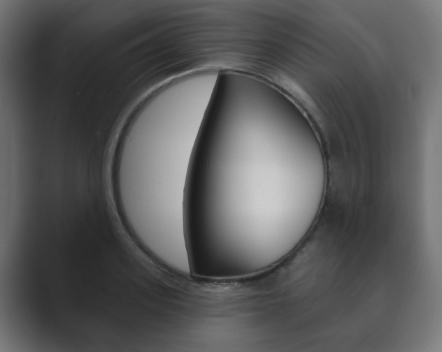 X0000089850939200706281018