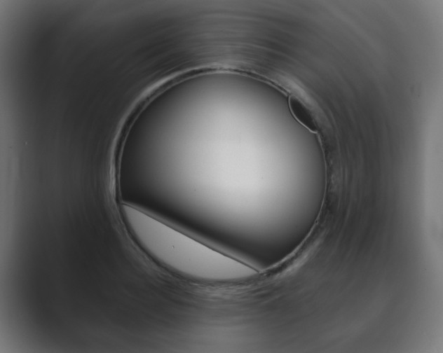 X0000089850940200706281018