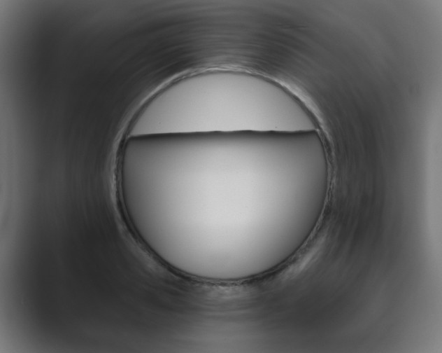 X0000089850941200706281018