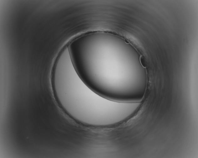 X0000089850942200706281018