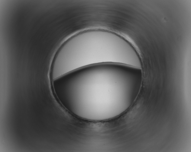 X0000089850943200706281018