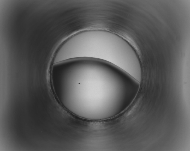 X0000089850944200706281018