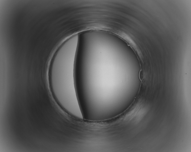 X0000089850947200706281018