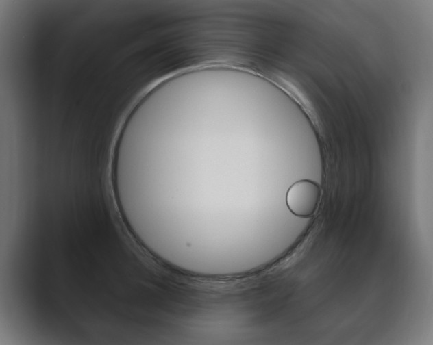 X0000089850948200706281018