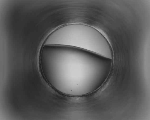 X0000089850949200706281018