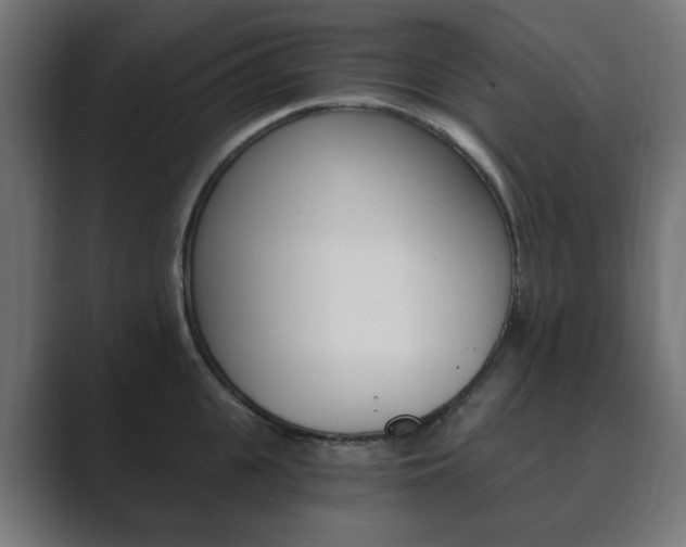 X0000089850951200706281018