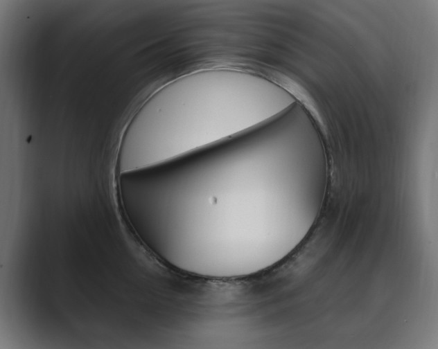 X0000089850954200706281018