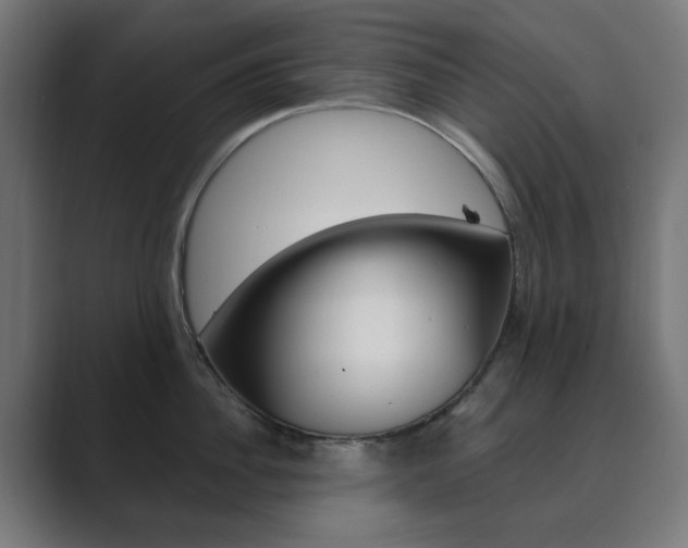 X0000089850956200706281018