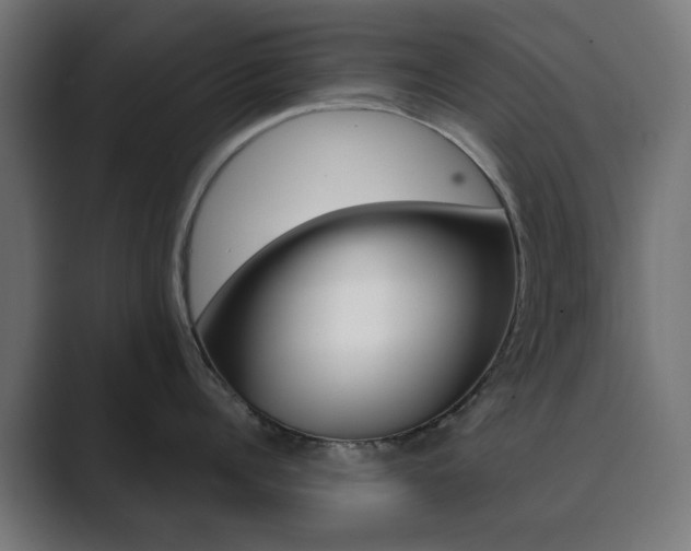 X0000089850960200706281018