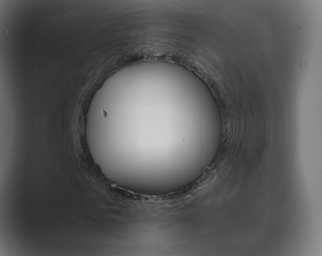 X0000089850961200706281017